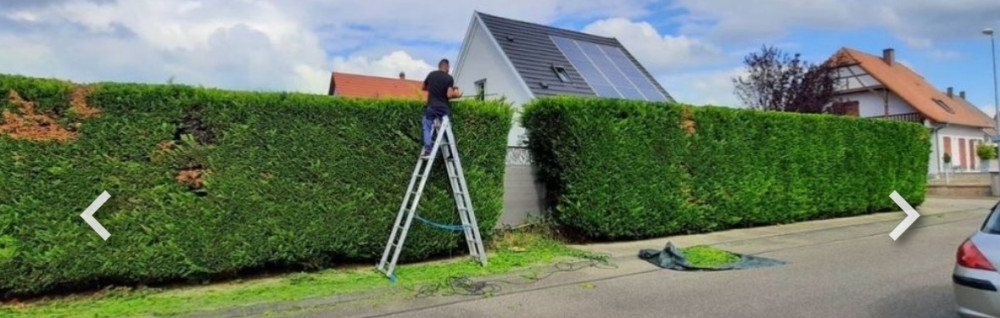 Rénovation Francois F.