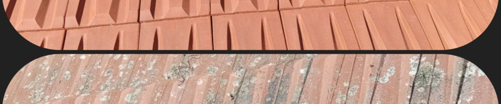 Patrick S. (Sch Renov63)