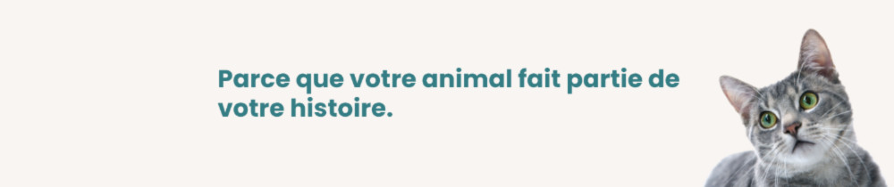 une historie sans fin