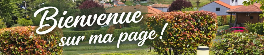 Kevin B. (Bucina Multiservices)