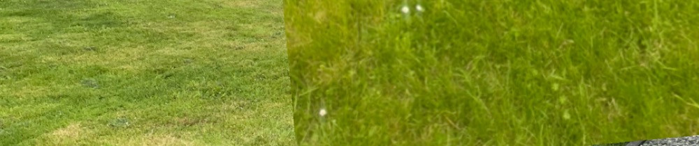 Peter B. (Entreprise Brillant Peter)