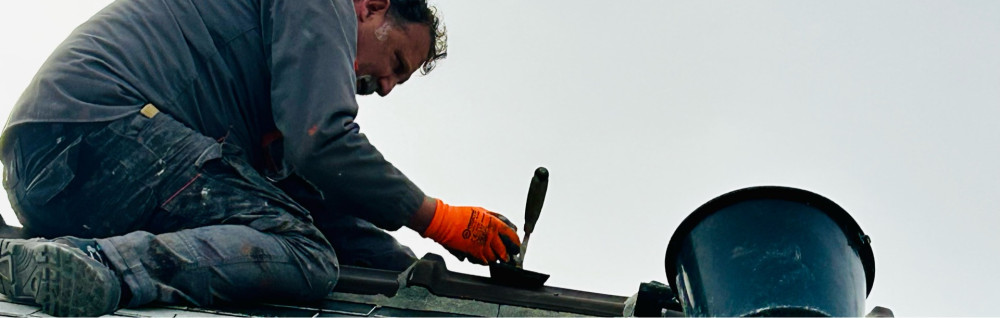 Tony M. (TM-Habitat)