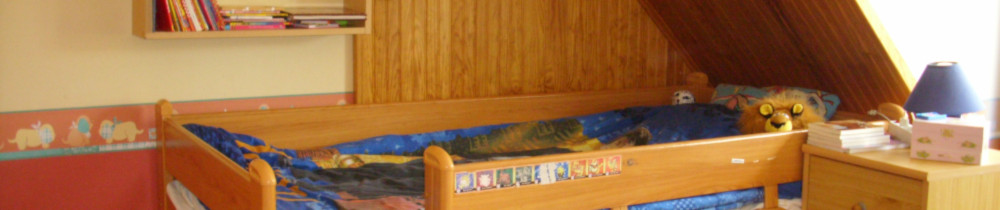 Christian R. (TOUTRAVAUX10.COM)