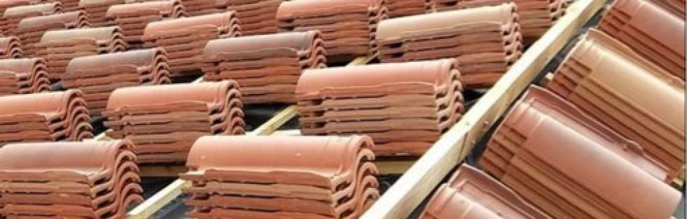 Lendon V. (Vigne Expert En Couverture)