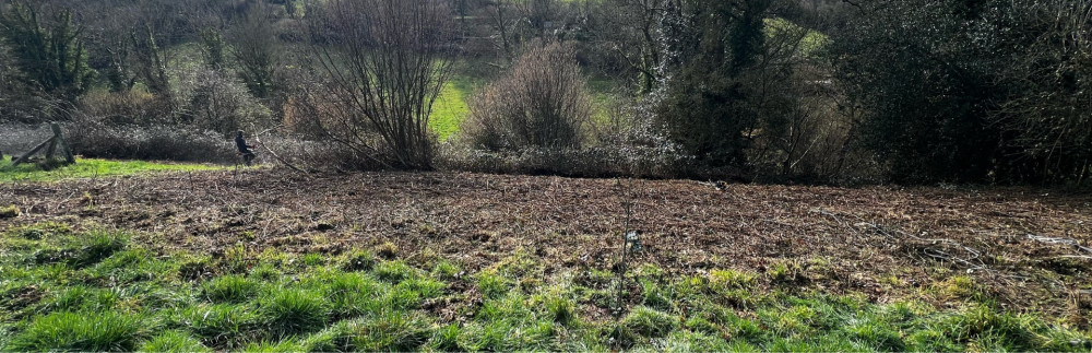 Paul N. (Com’neuv)