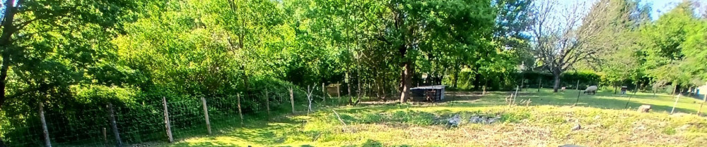 Joffrey C. (Carrière Joffrey)