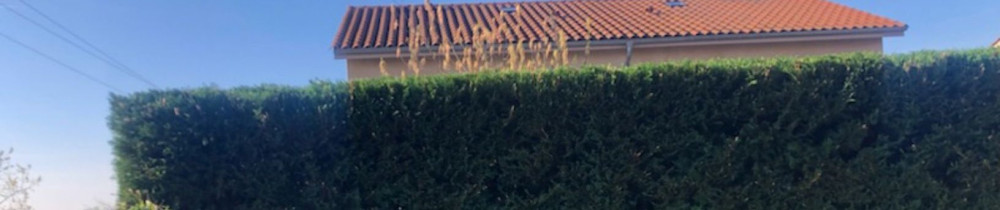 Valérie P. (Les multiservices de Valér...