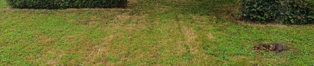 Grégory S. (Gservices02)