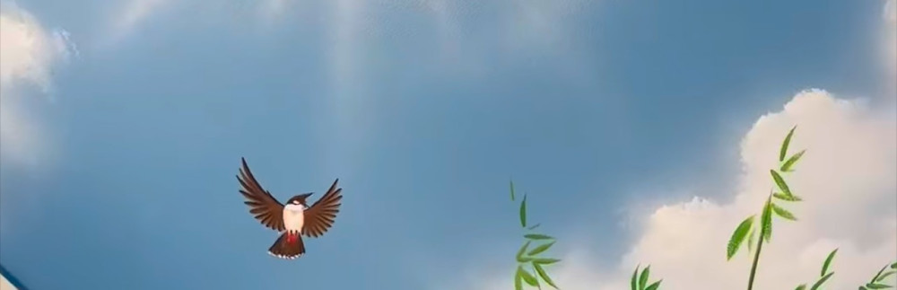 Arber T. (AMEN RENO-TRAV INTER-SURF AN...