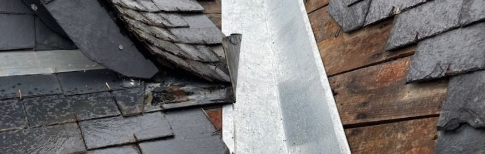 Wesley B. (PNH couverture)