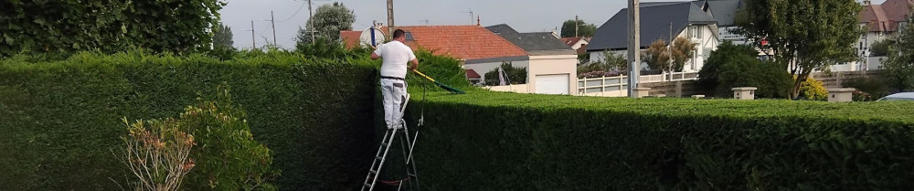 Pascal L. (Pascal Lagrain)