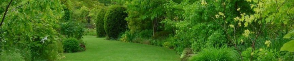 Hamza A. (Aztservice)