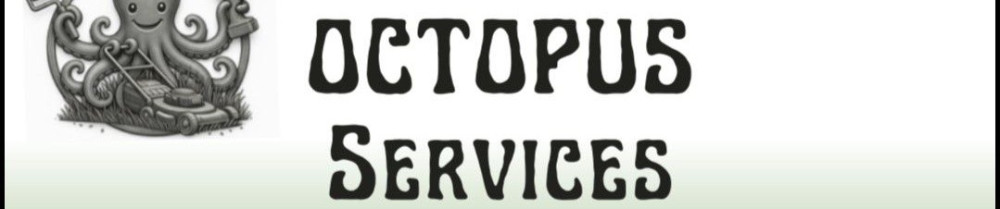 Damien L. (Octopus services)