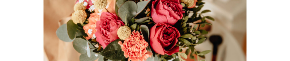 Alexandre C. (alcbfoto)