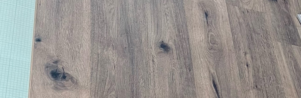 Patrice L. (lorain patrice)