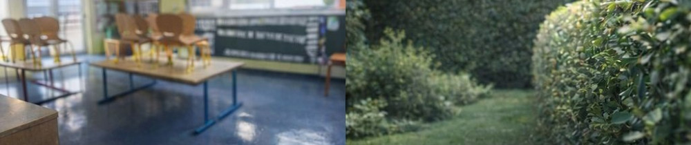 Victor C. (Castel services et nettoyag...