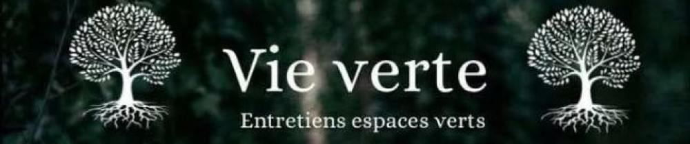 Dylan C. (VIE VERTE)