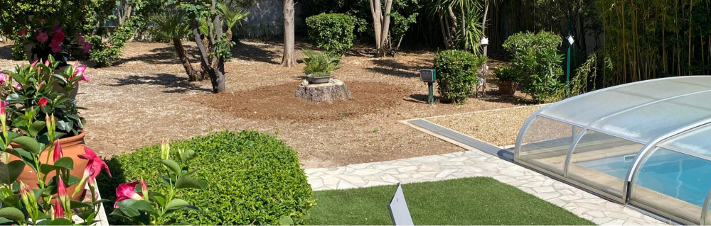 Dylan Q. (Dylan Azur Jardin)