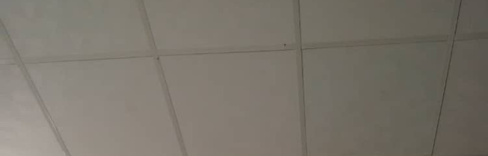 Dahi B. (pro solutions)