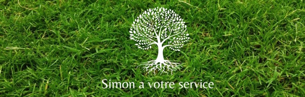 Simon S.