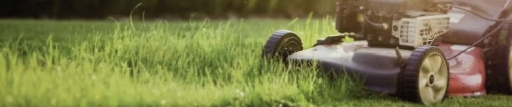 Cyril R. (Cyril Entretien Extérieur)