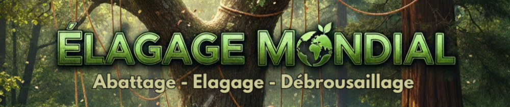 Enis Y. (ElagageMondial)