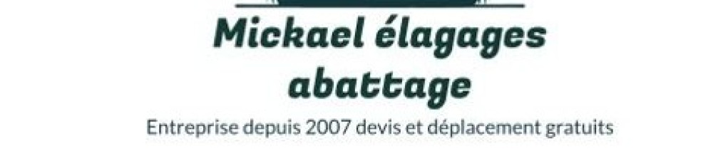 Mickael C. (Cancy Mickael)