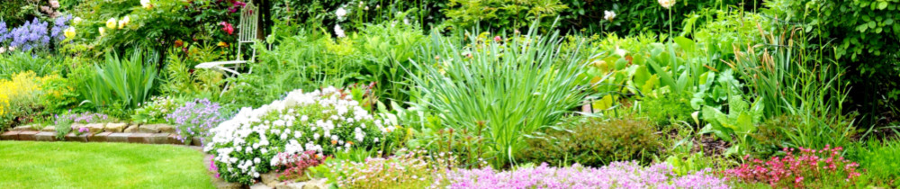 Bertrand D. (Tisser VERDE)