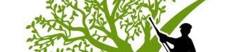 Brayton M. (Mejan Elagage)