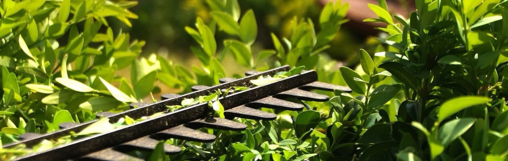 Antoine T. (JARDIN SERVICES 10)