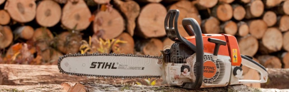 Tom É. (Tom Élagage)