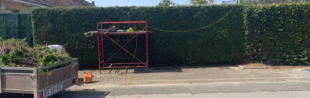 Brian B. (Br Multiservice)