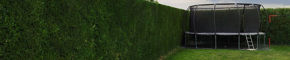 Lorenzo C. (chevalier multiservices)