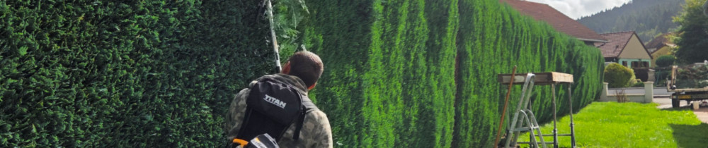 Samuel B. (MSB MULTI SERVICE)