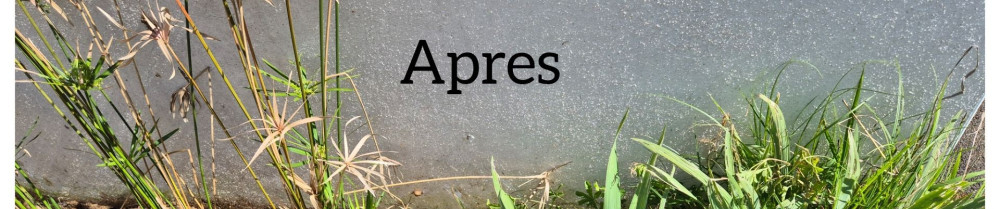 Murilo N. (Netpro Services 64)