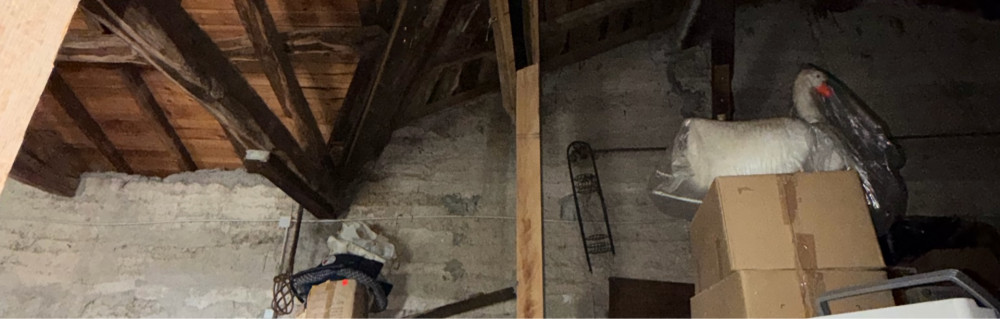 Mehdi S.