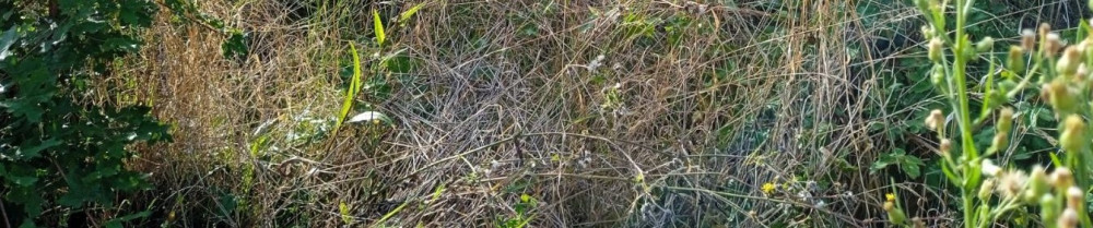 Florian P. (Ponroy Florian Multi Servi...