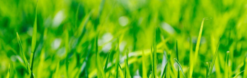 Kevin M. (MK Espace Vert)