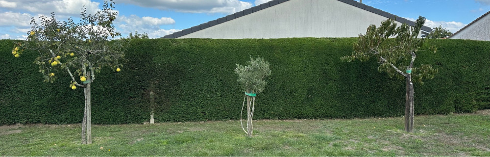 Isaac S. (SOS MAIN VERT)