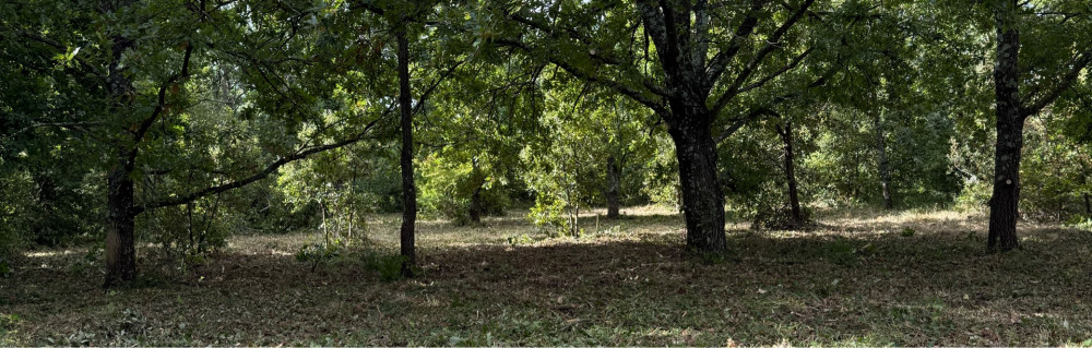 Arnaud F. (A.f nettoyage)