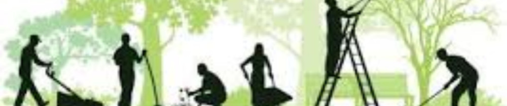 Cyril M. (Ei Cyril Paysage)