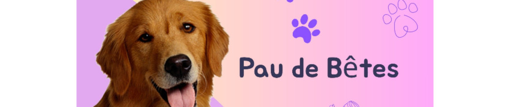 Estelle G. (Pau de Bêtes)