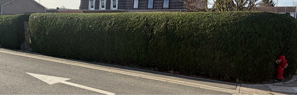 Christian D. (Christian nature)