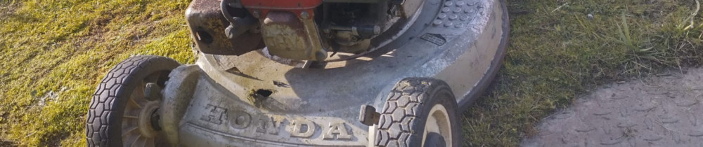 Anthony-Lee B. (Birtz Multi-Services)