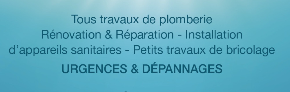 Dumitru P. (DP Services Plomberie)