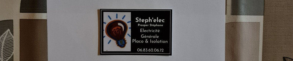 Stéphane P. (Steph'elec)