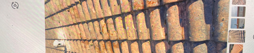 Ludovic F. (Toiture fortier)