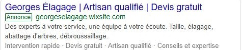 Georges W. (Georges élagage)