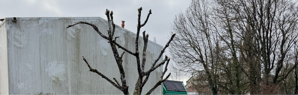 Jess M. (Sm Elagage)