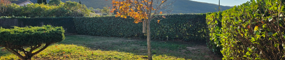 Pierre F. (SOS JARDIN)